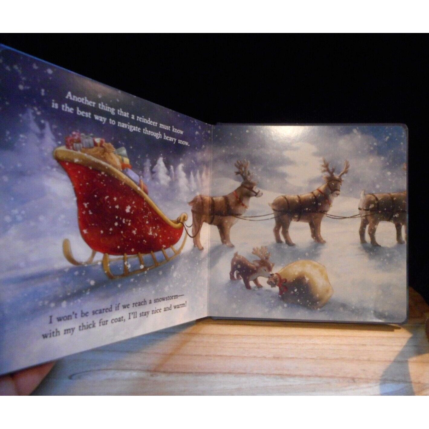 Mitzi Reindeer Dream Book