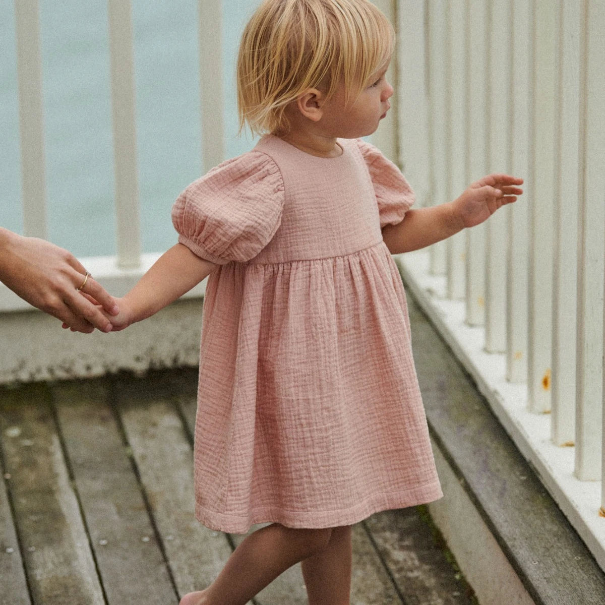 Albertine Dress - Rose Dust