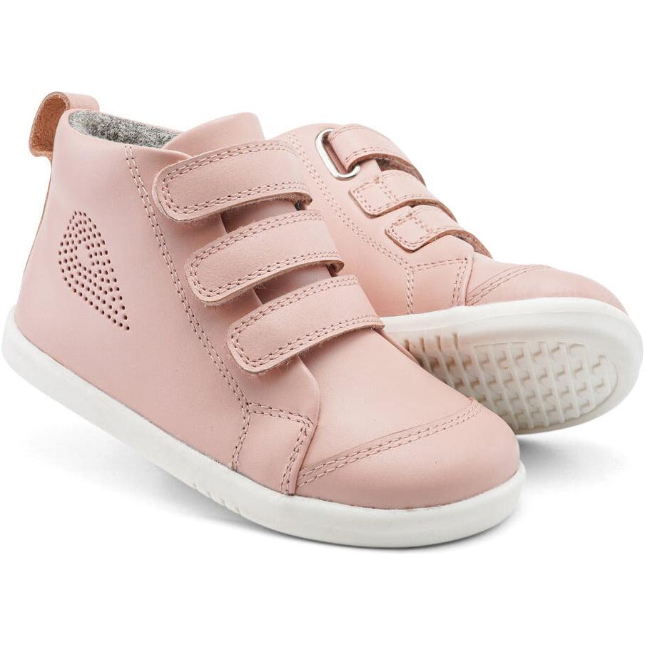 IW Hi Court Seashell