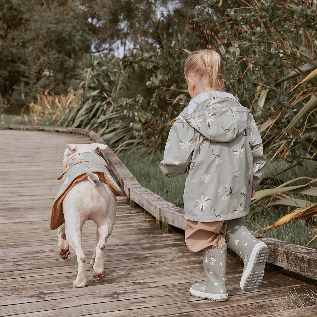 Ruff Jacket - Forget Me Not