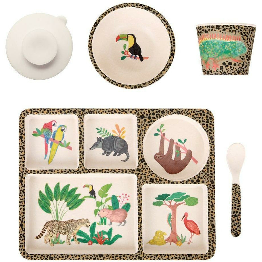 Divided Plate Set - Amazon