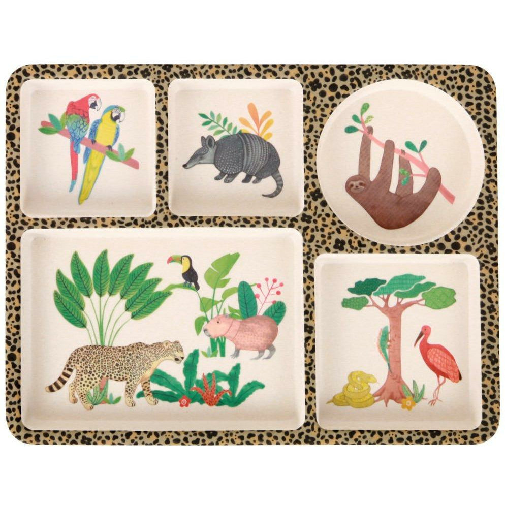 Divided Plate Set - Amazon