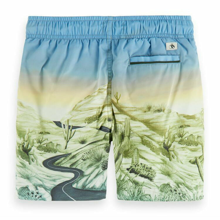 All-Over Printed Swim Shorts