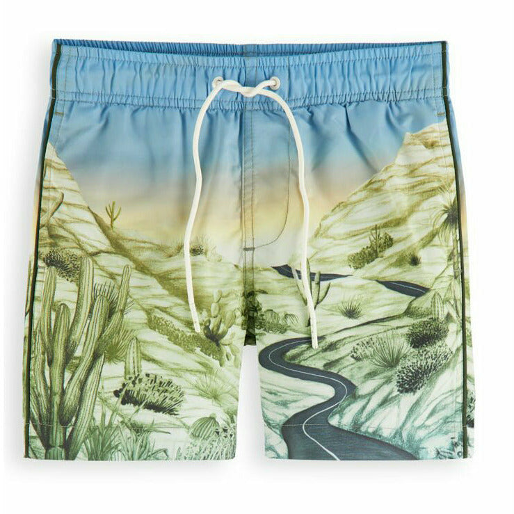 All-Over Printed Swim Shorts