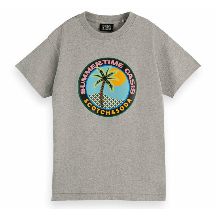 Skate-Fit Artwork T-Shirt - Grey
