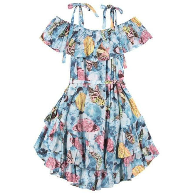 Frilled Off Shoulder Dress - Vintage Butterfly Roses