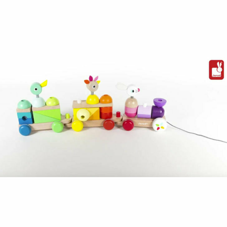Giant Multicolour Train