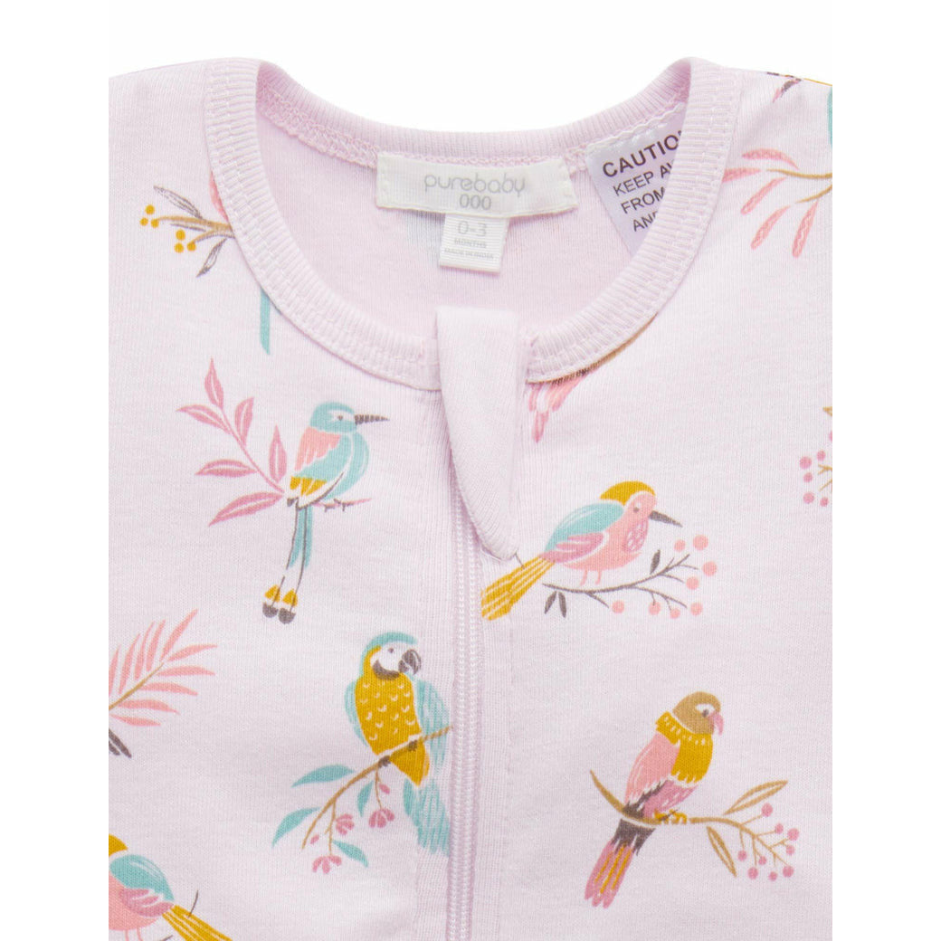 Rib Growsuit - Parrot