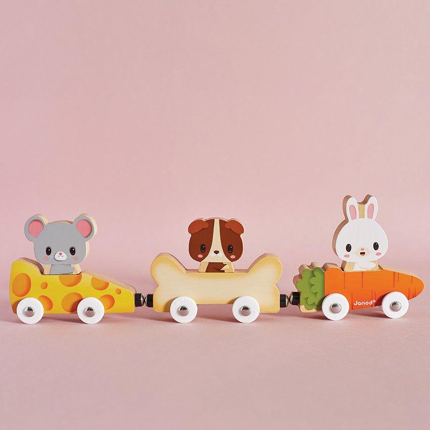 Magnetic Pet Cars