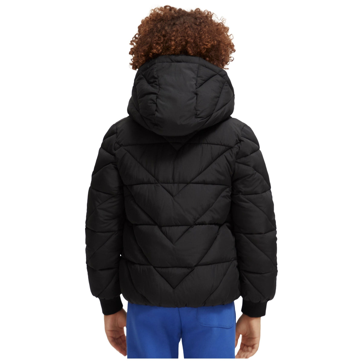 Water-Repellent Hooded Jacket - Antra