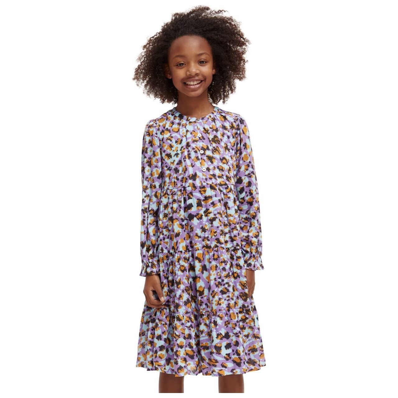 Printed Panelled Dress