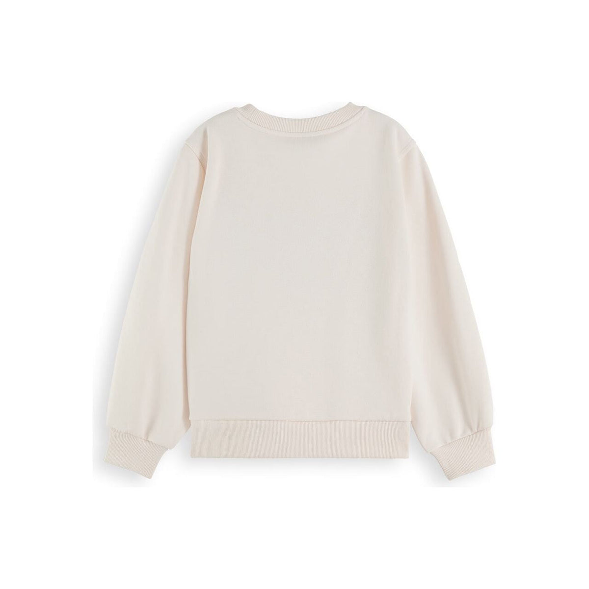 Embroidered Sweatshirt