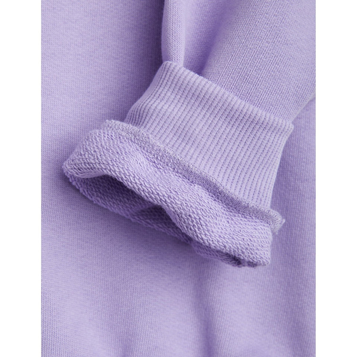 Dolphin Sp Collar Sweatshirt