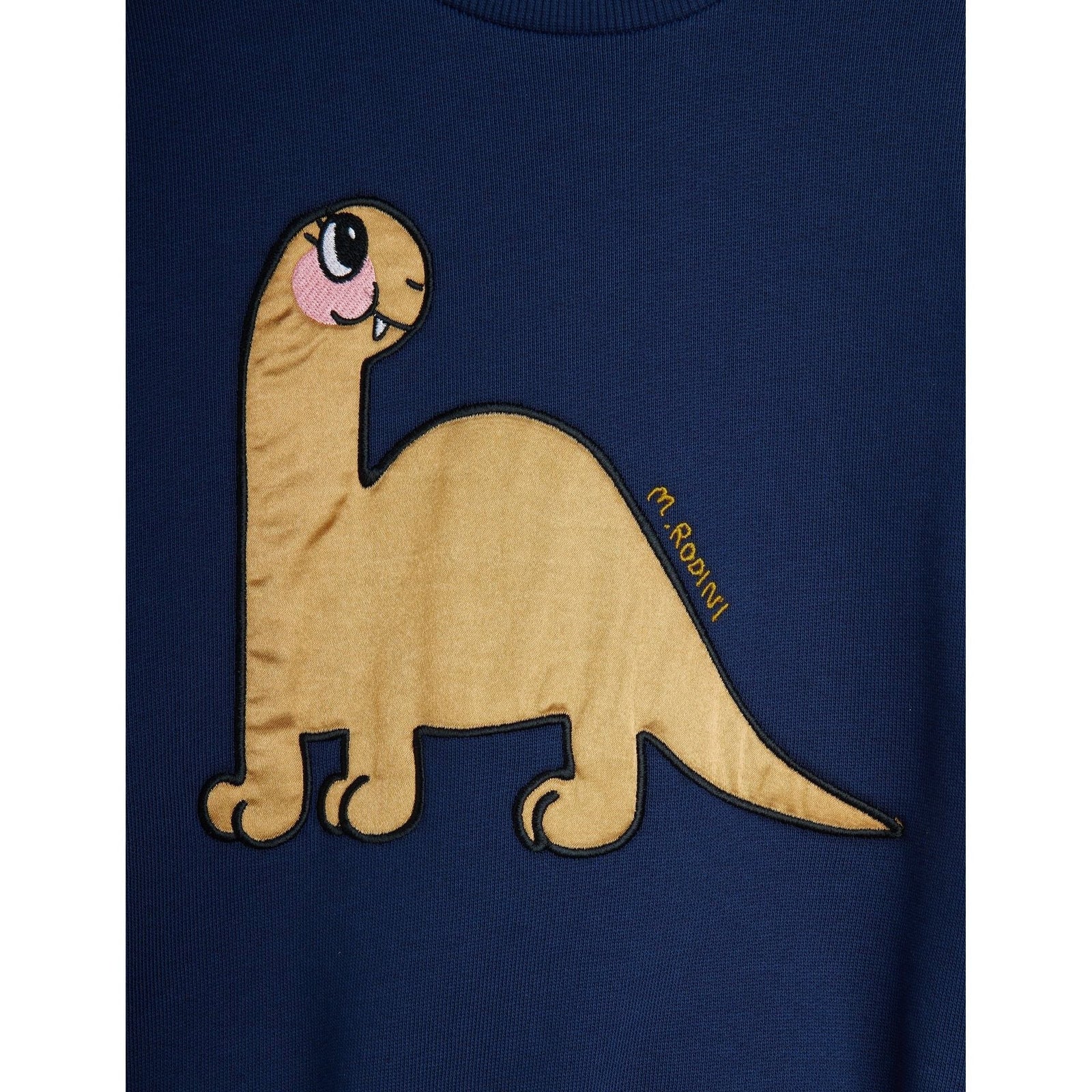 Dino Application Sweatshirt