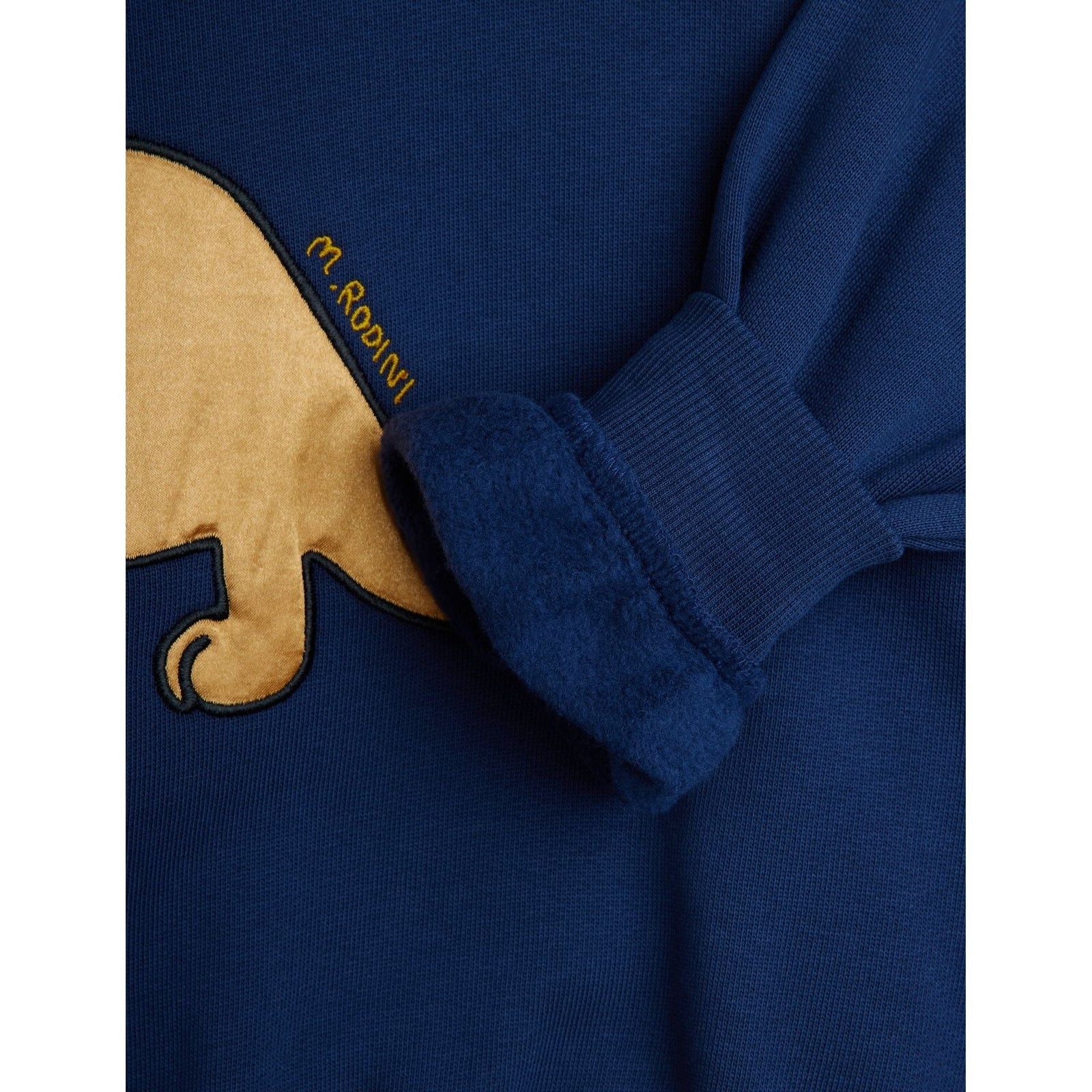 Dino Application Sweatshirt