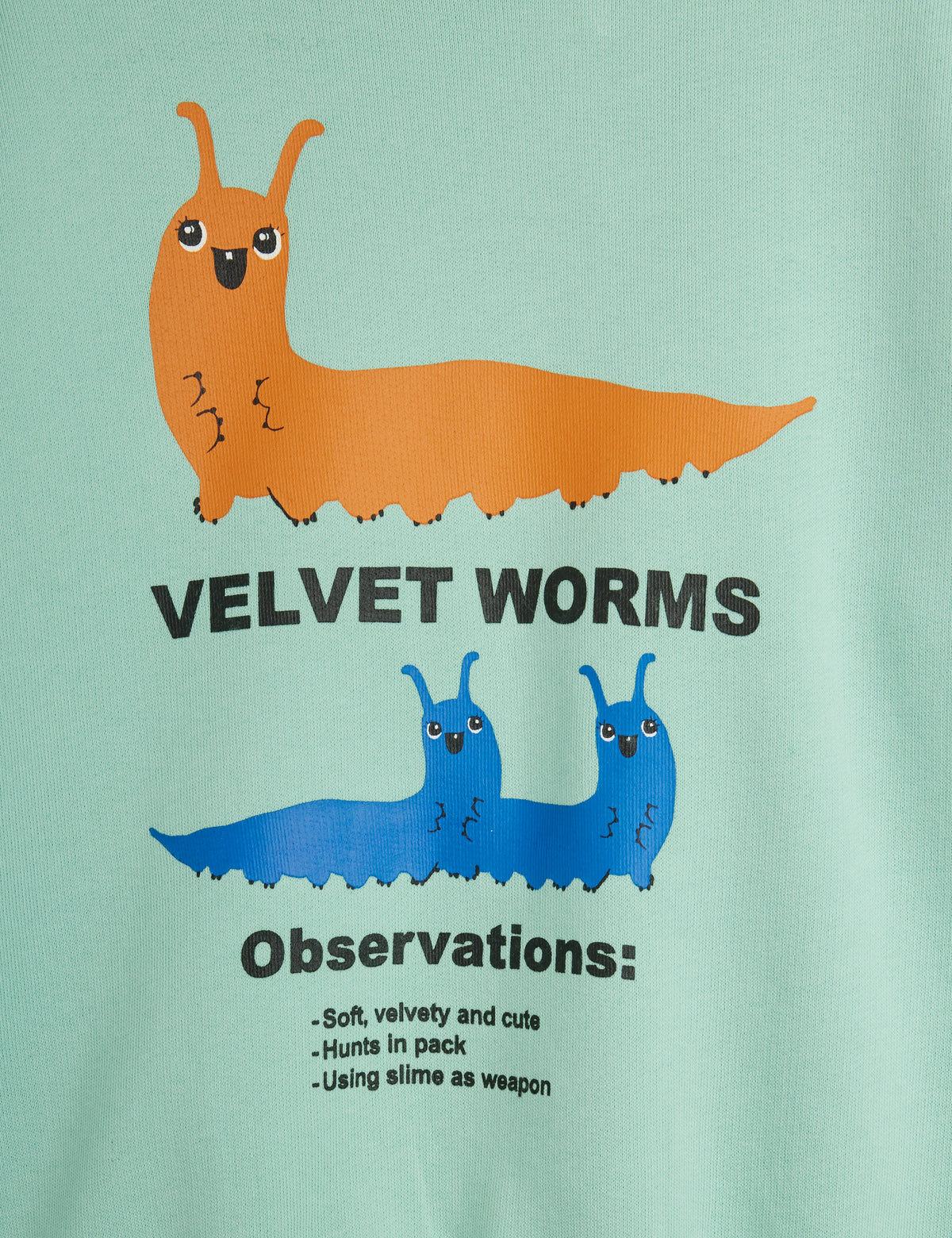 Velvet Worms Observations Sweatshirt