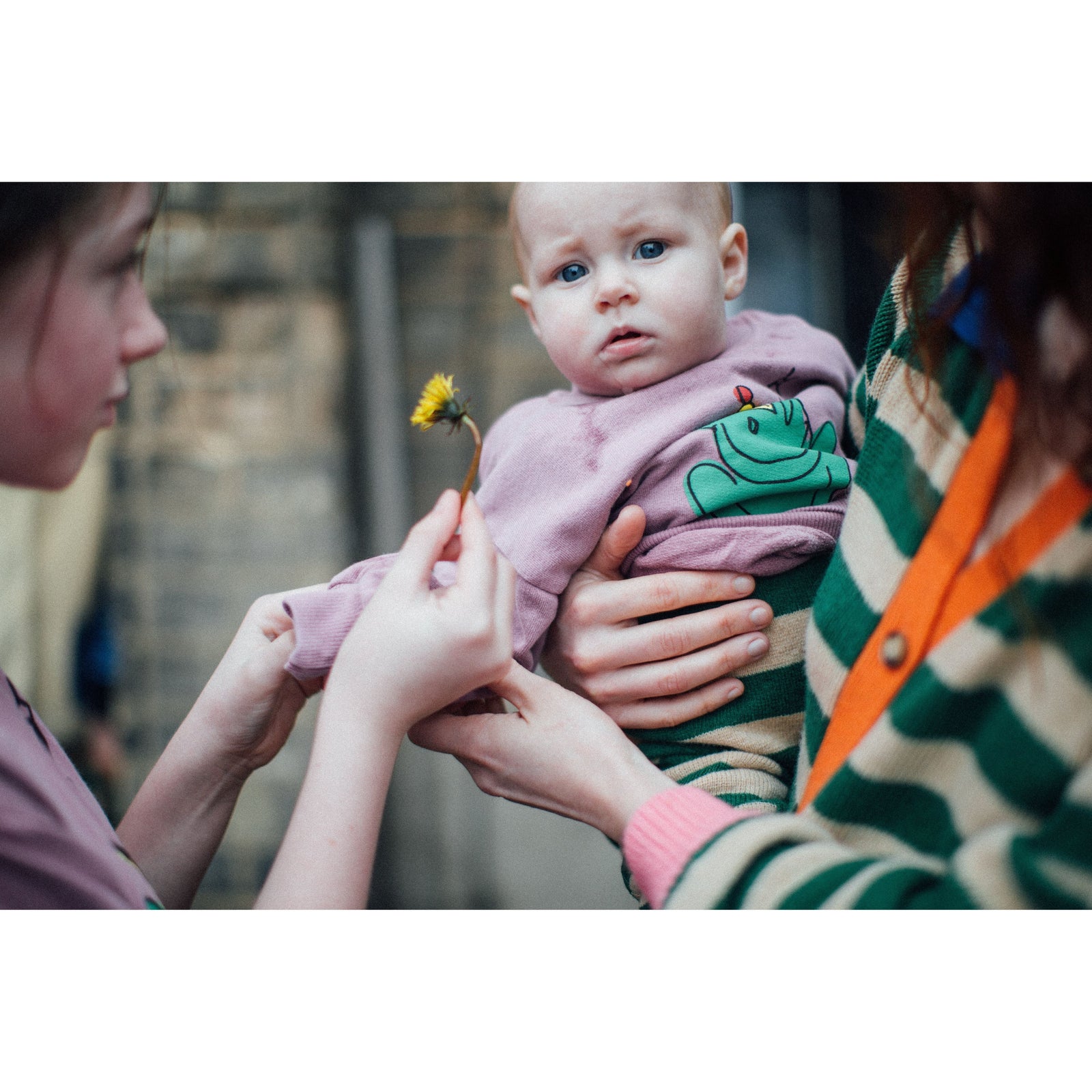 Baby Enchanted Frog Sweatshirt