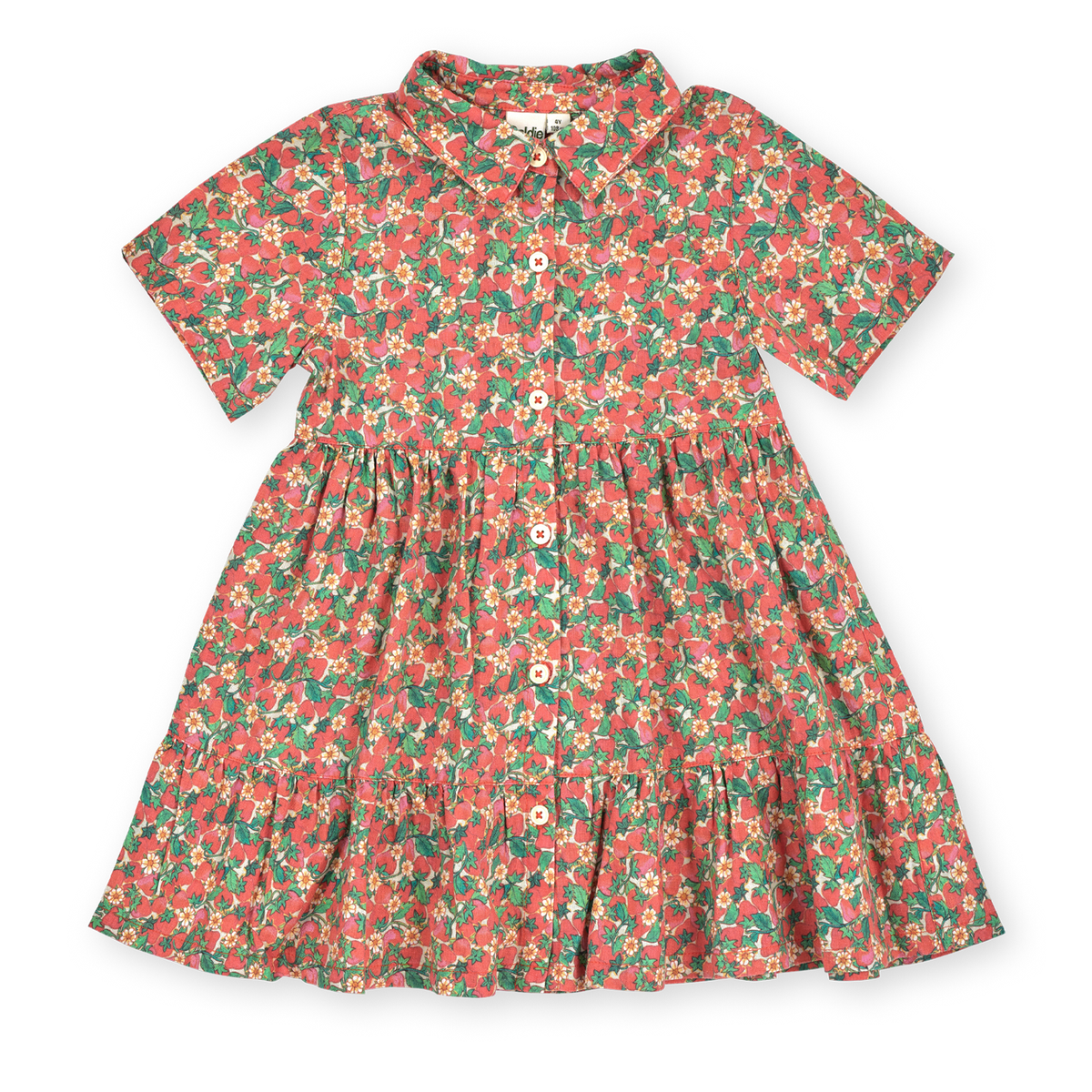 Strawberry Monica Dress