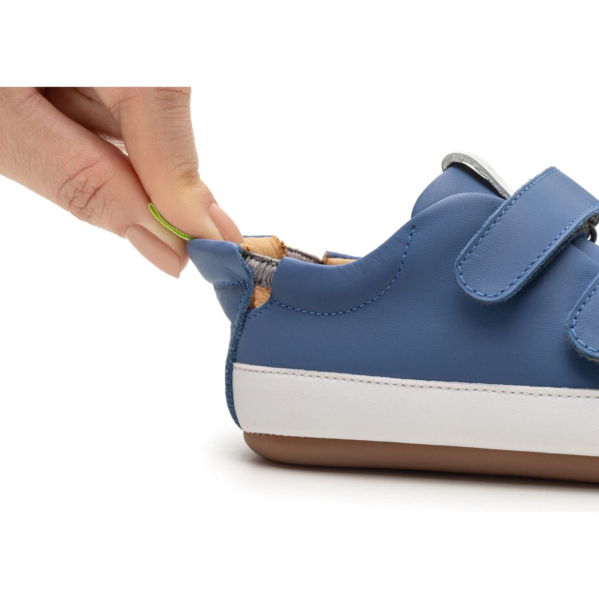 Bossy Sneakers - Blue Tang