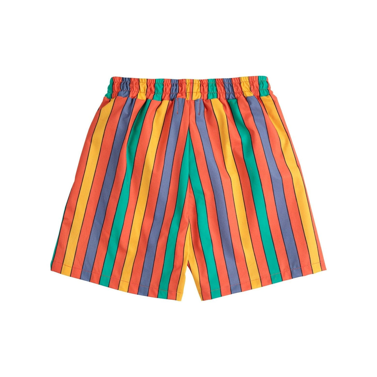 Multicolor Stripes Swim Board Shorts