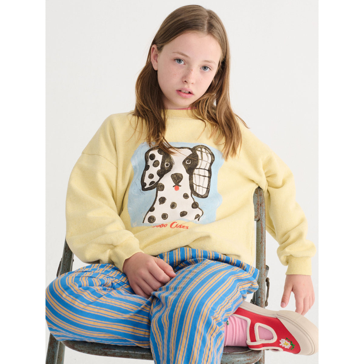 Van Dog Sweatshirt