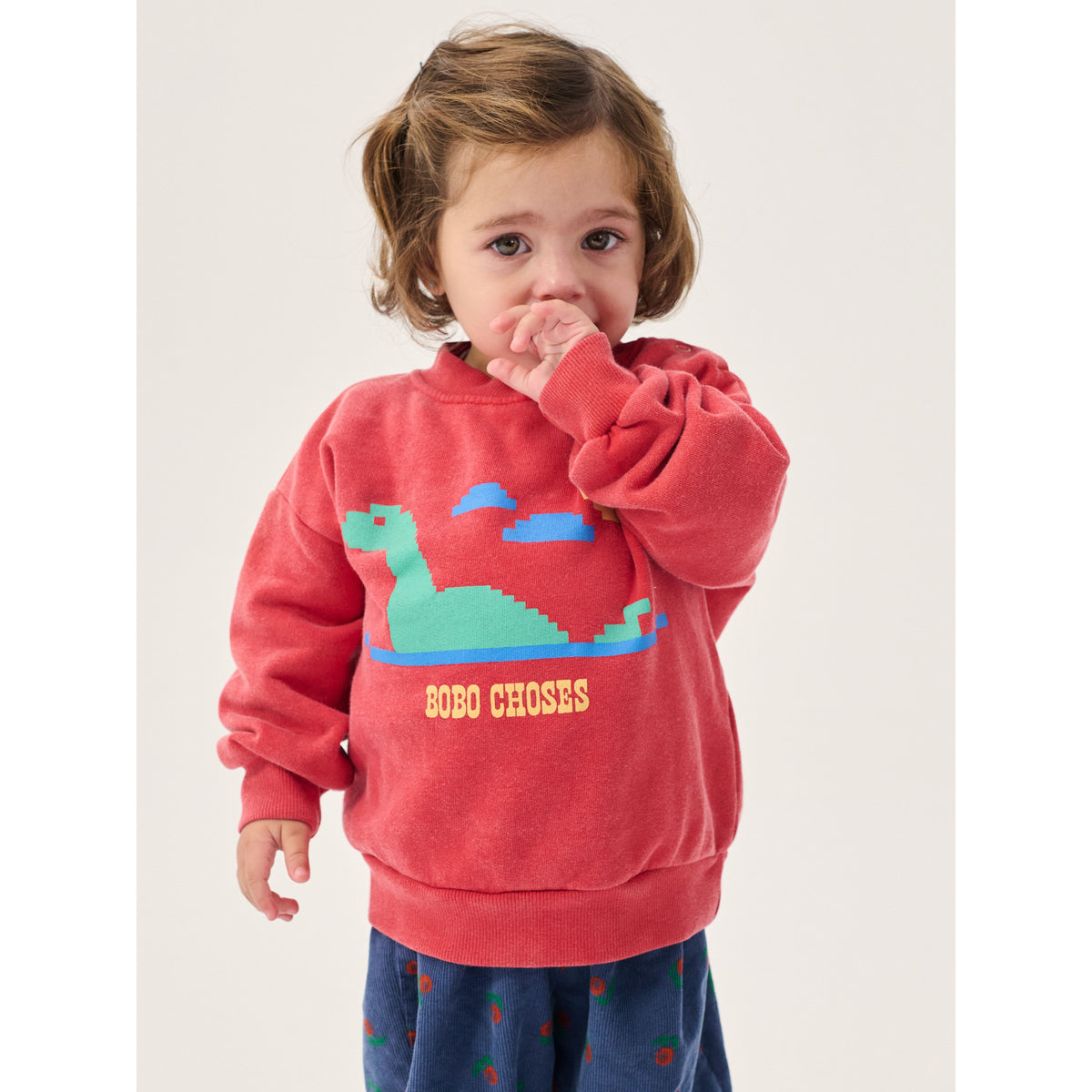 Lake Monster Sweatshirt