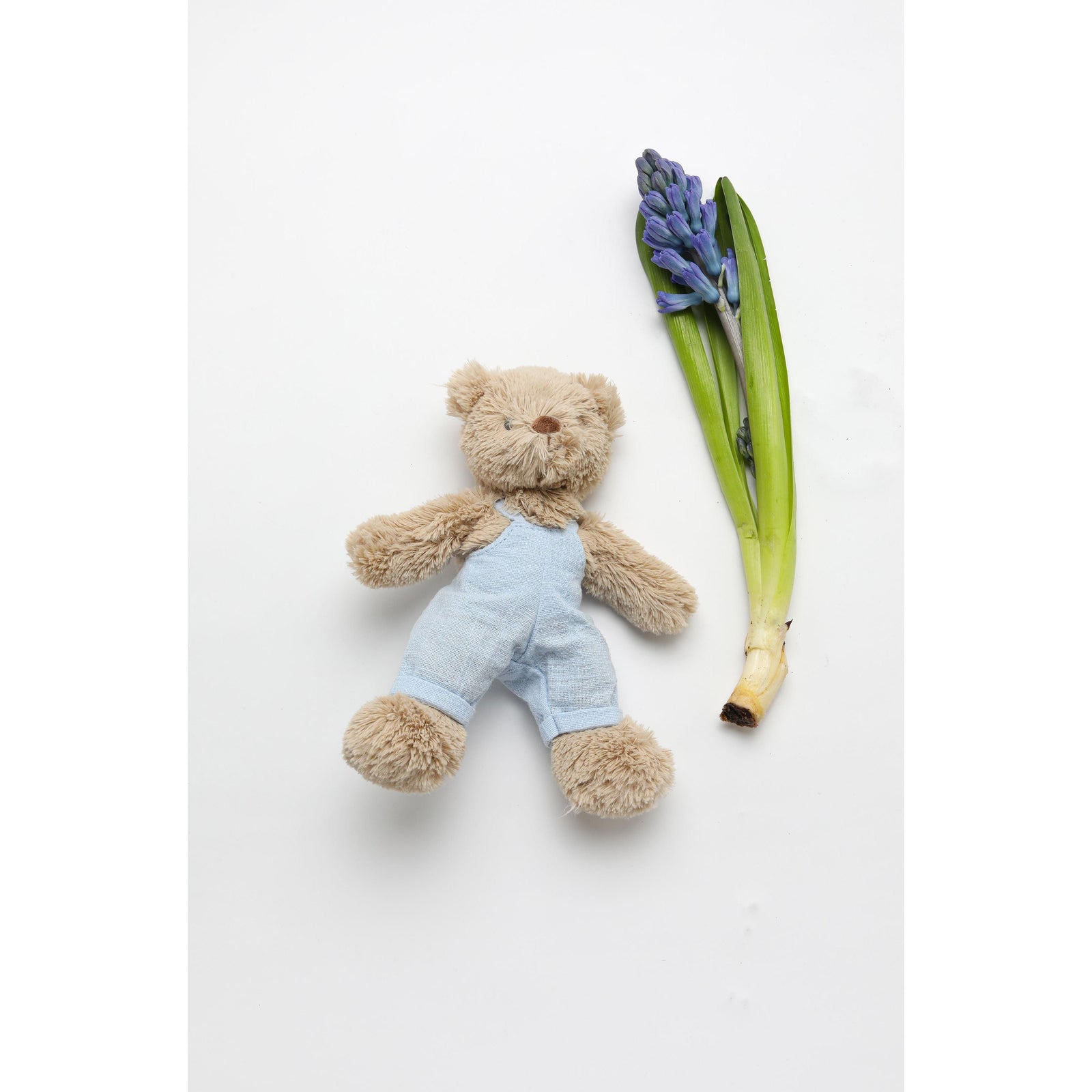 Baby Honey Bear - Overalls Baby Blue