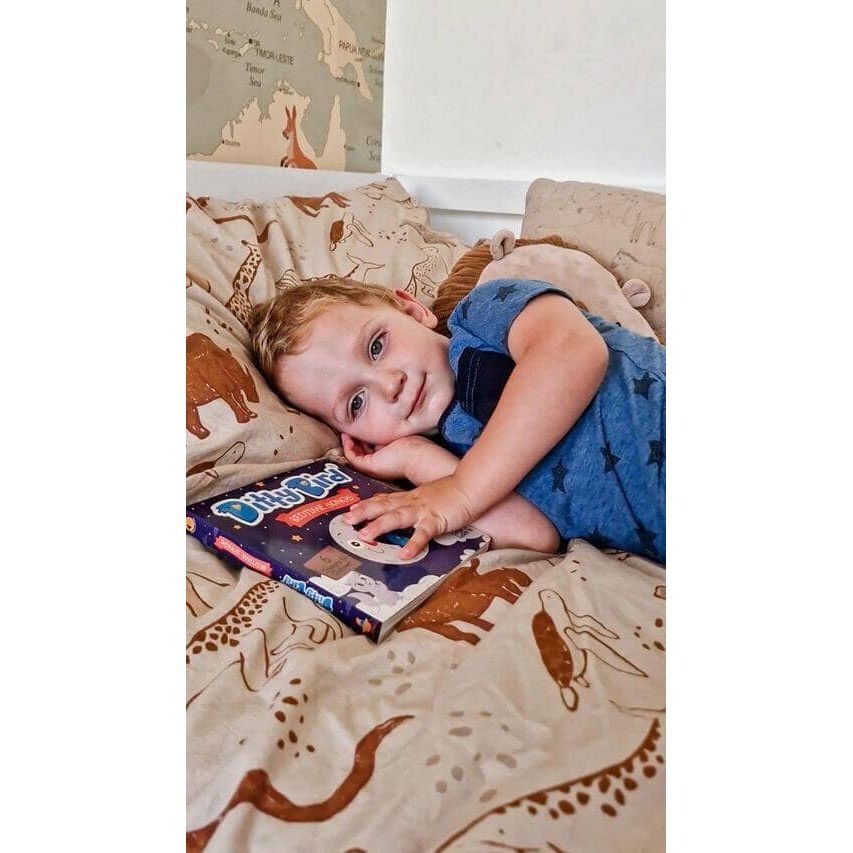Bedtime Songs