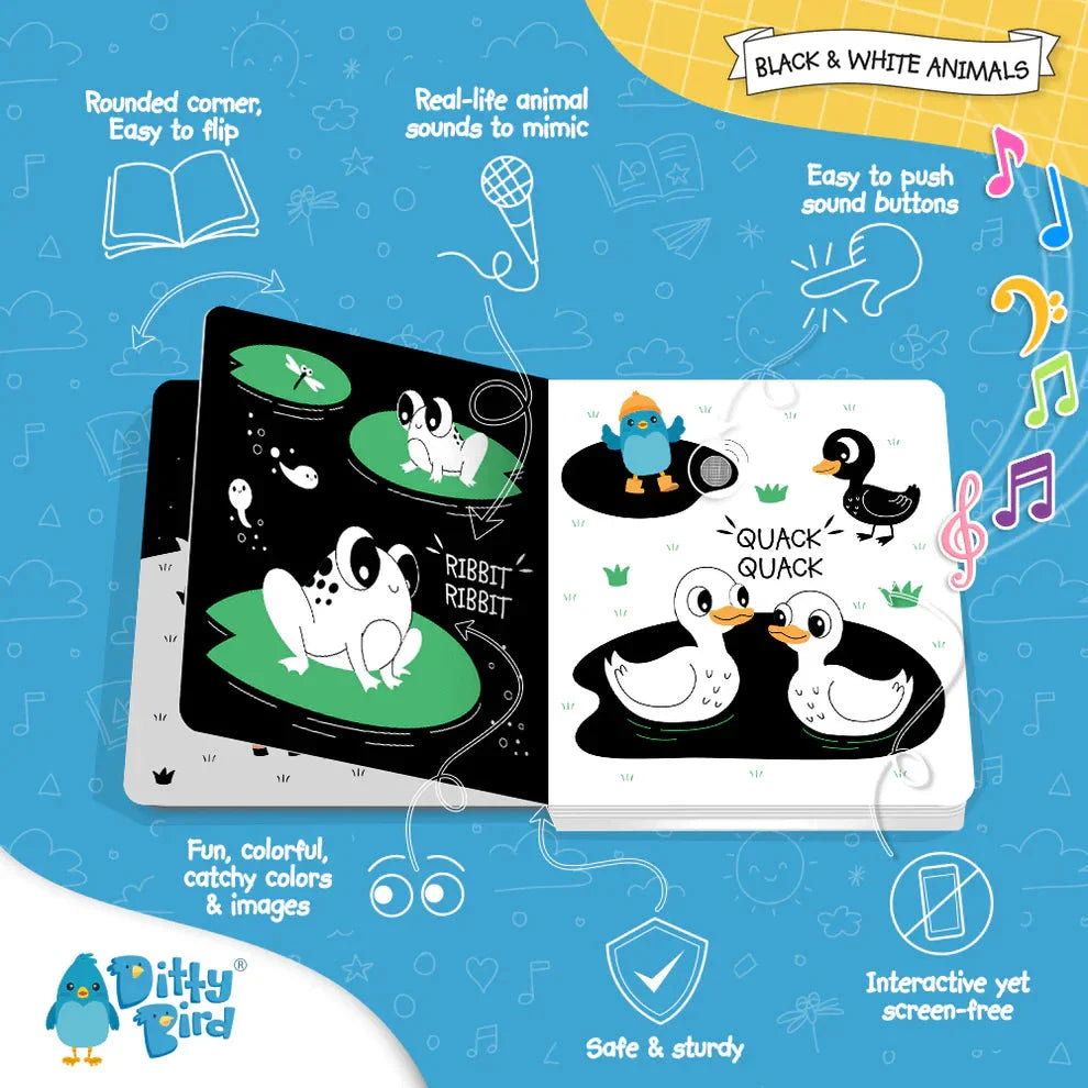 Black and White Animals
