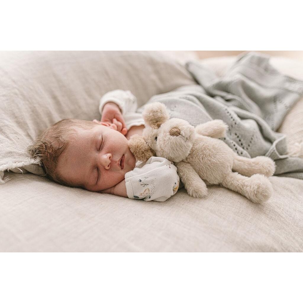 Buddy the Dog Rattle