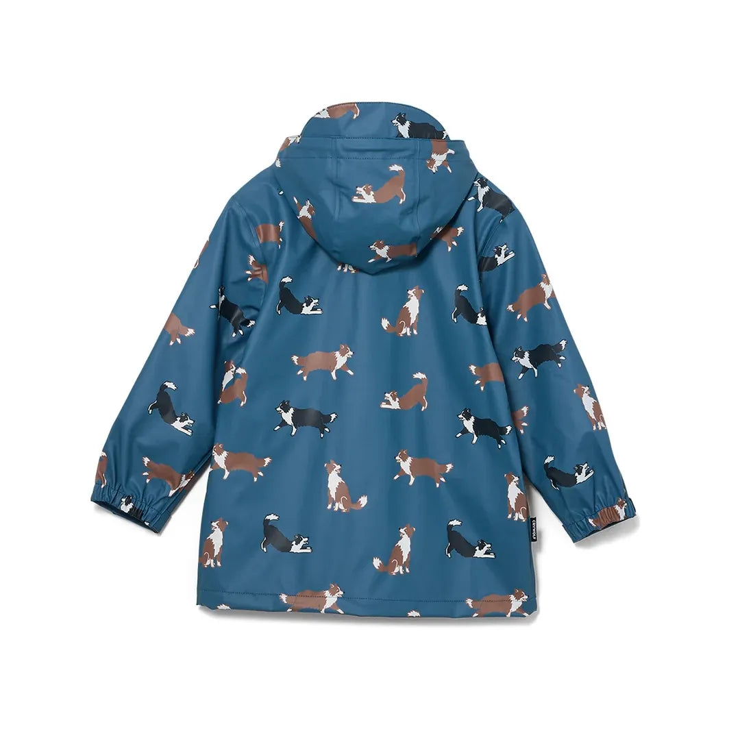 PLAY JACKET - Collies