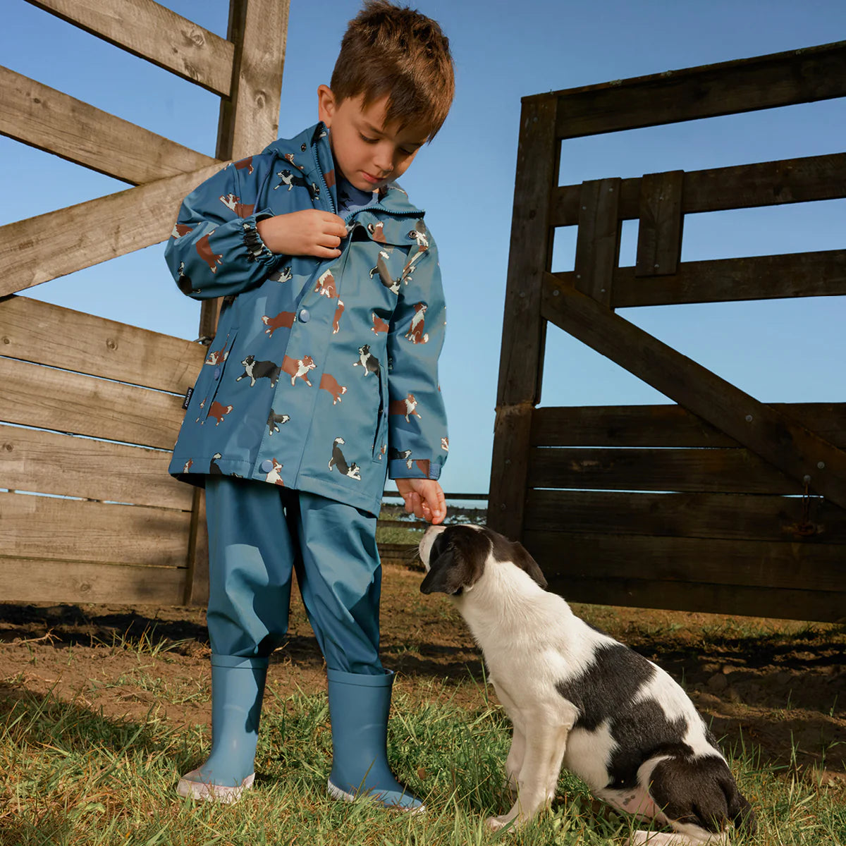 PLAY JACKET - Collies