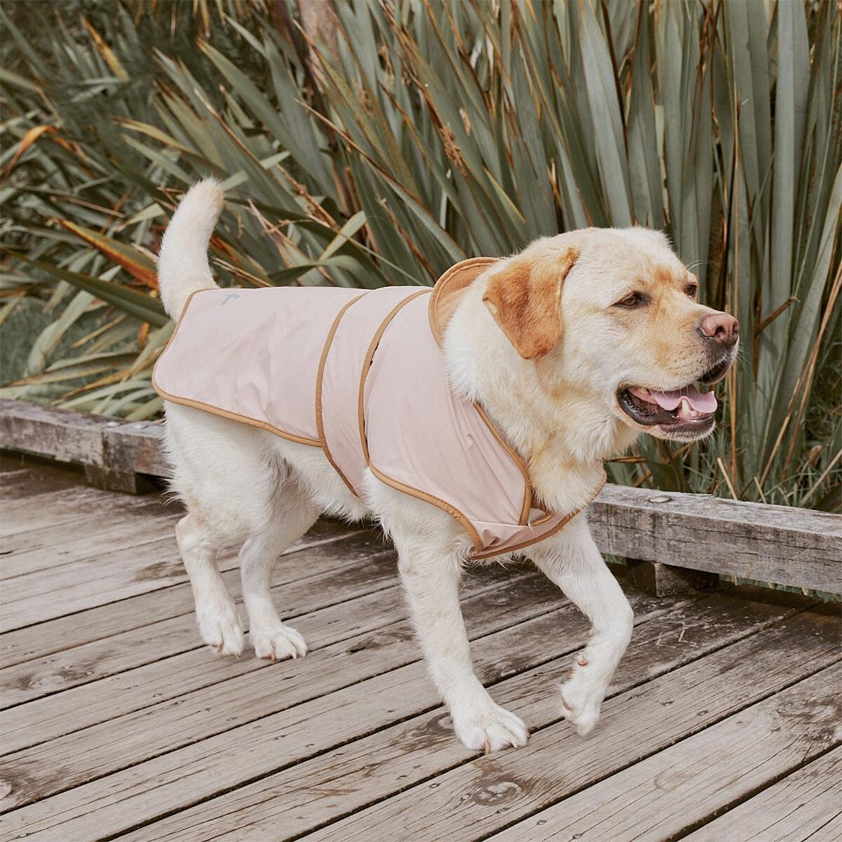 Ruff Jacket - Dusty Pink
