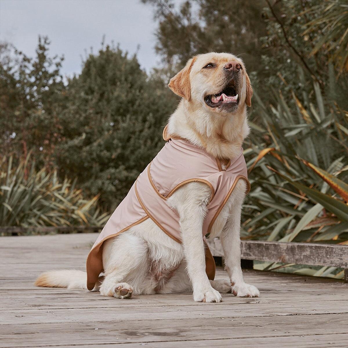 Ruff Jacket - Dusty Pink