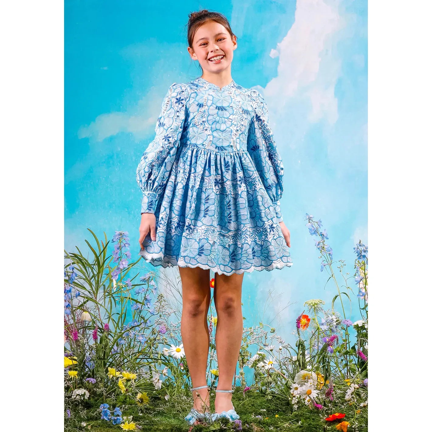 Evangeline Embroidered Dress