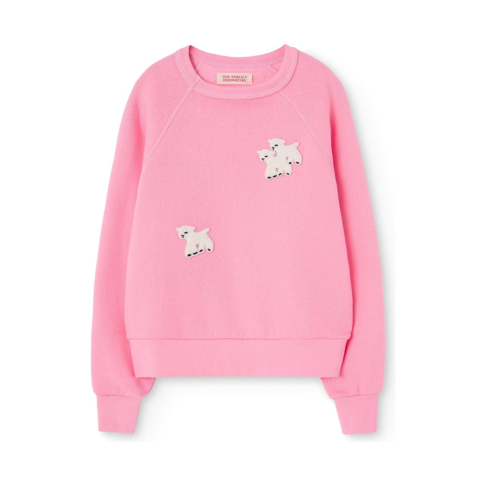 Shark Sweatshirt Pink