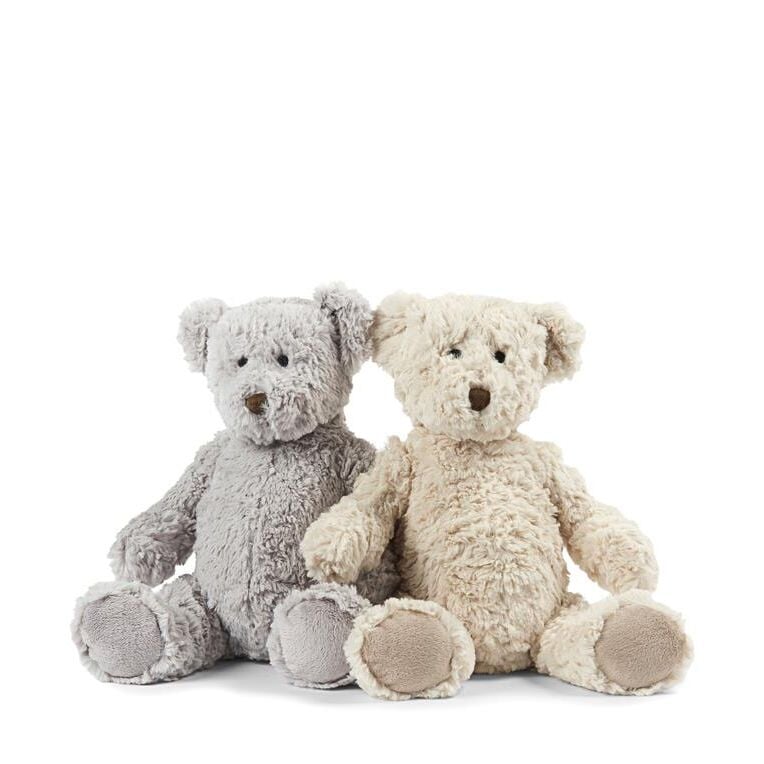 Freddy The Teddy