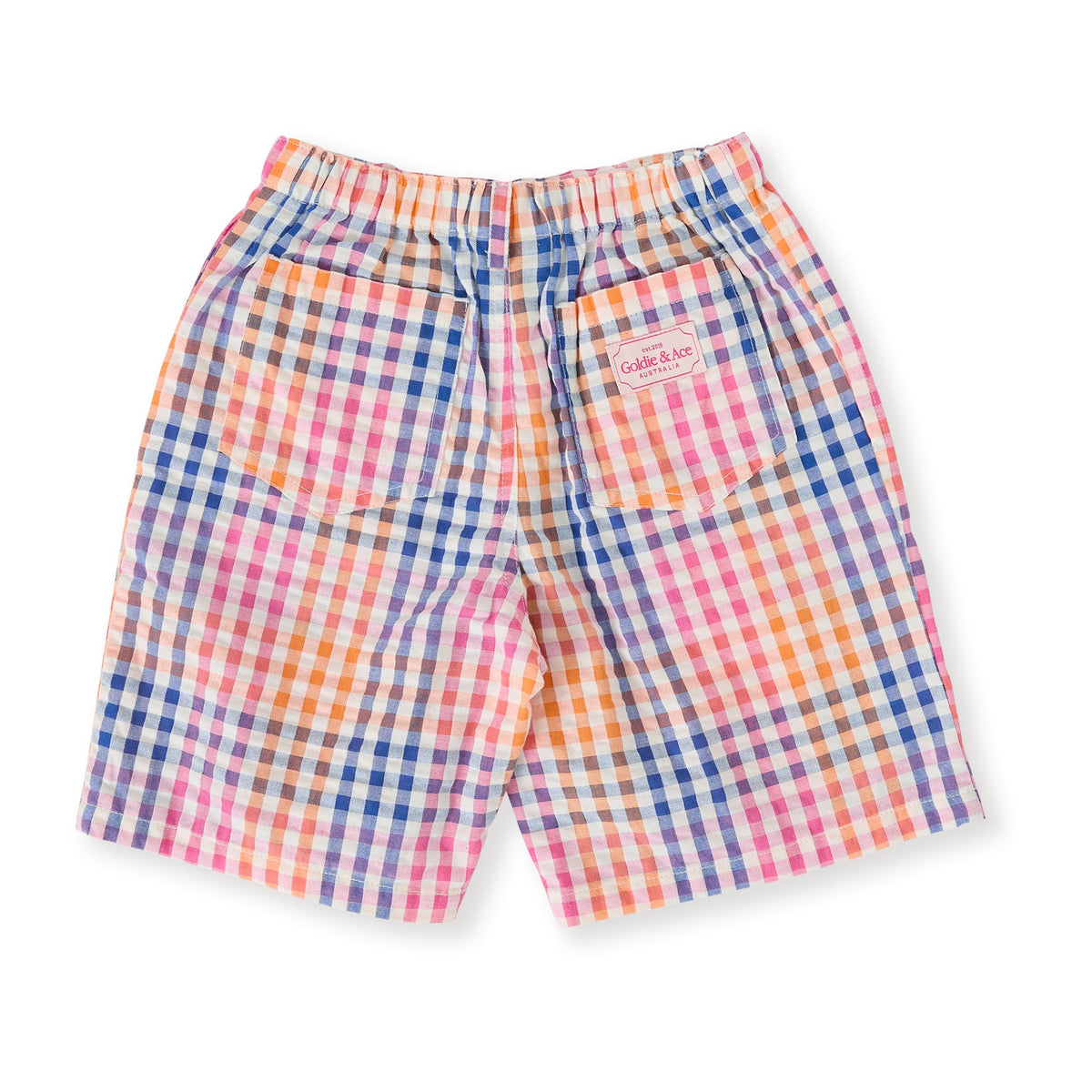 Rainbow Gingham Kirby Relaxed Shorts