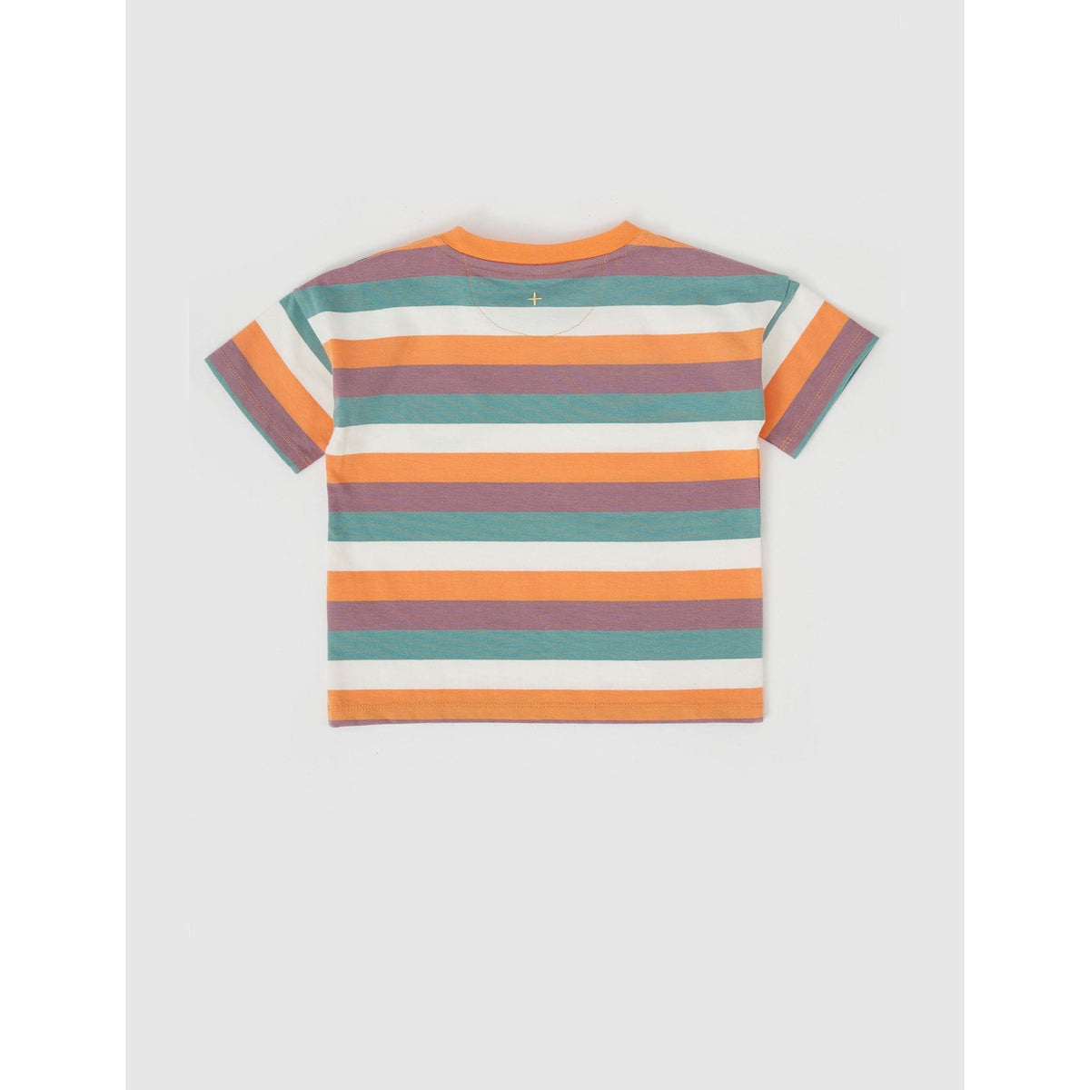 Dino Valley Nostalgia Stripe T-Shirt