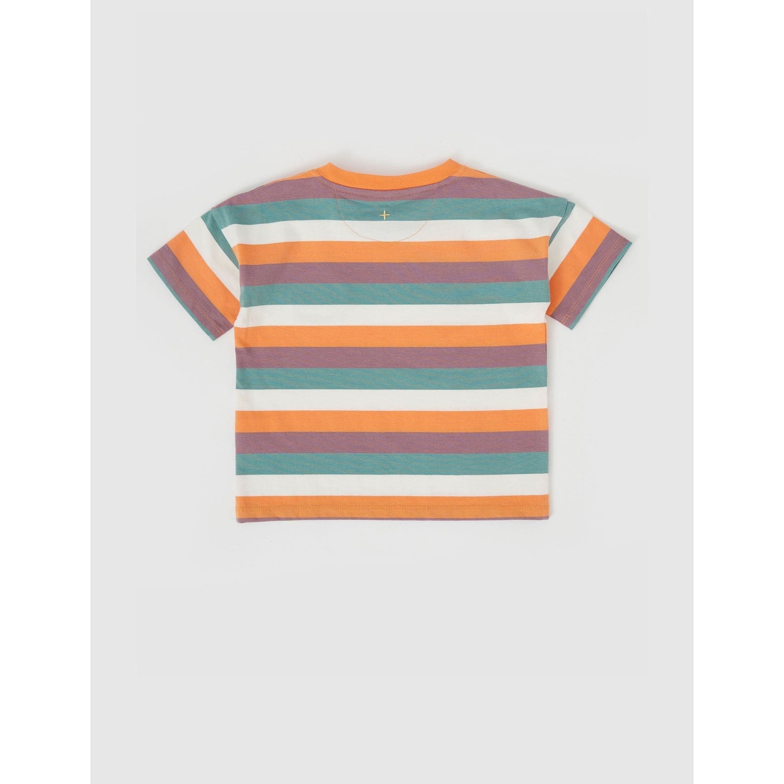 Dino Valley Nostalgia Stripe T-Shirt