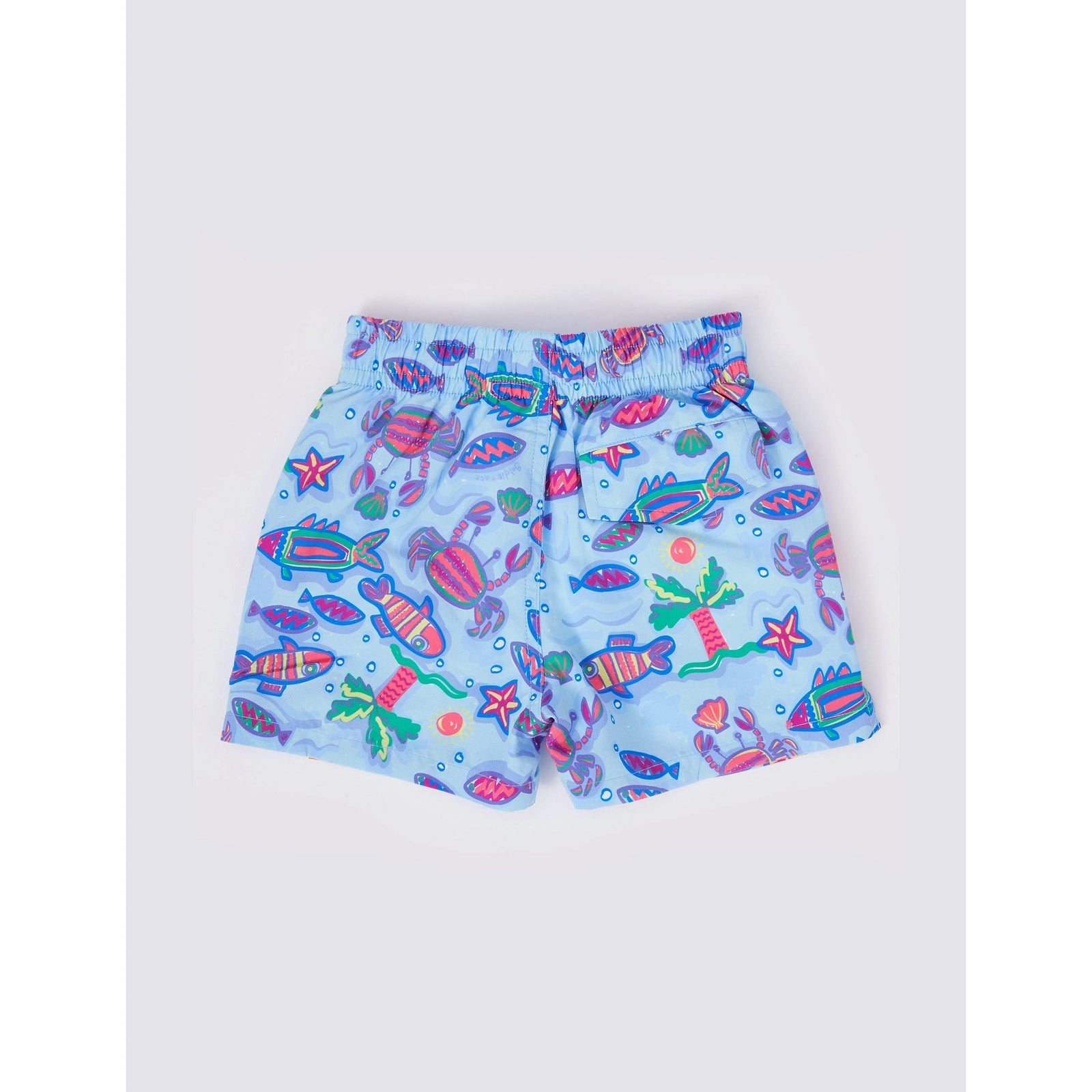 Daydream Island Board Shorts
