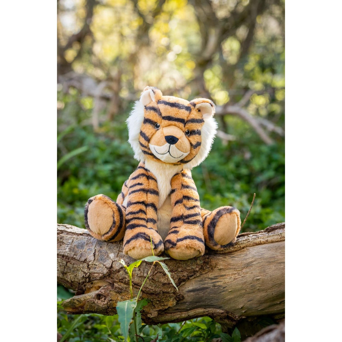 Tesh the Tiger