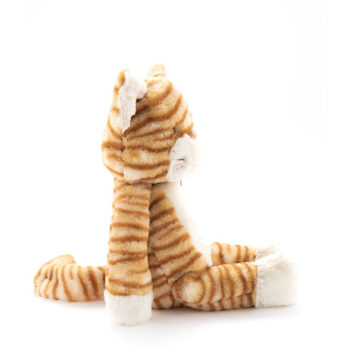 Ginger the Cat