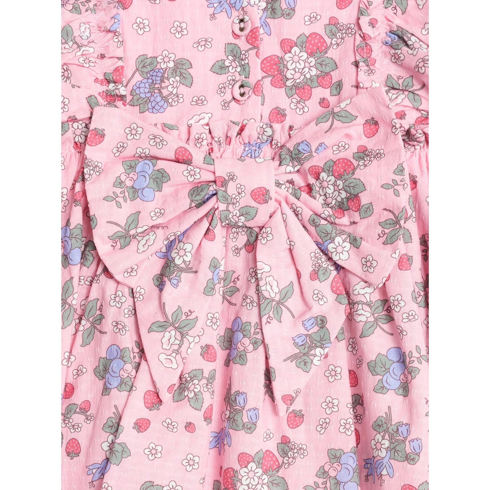 Strawberry Garden Sunday Best Dress