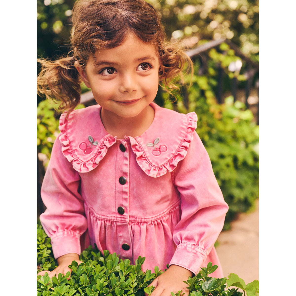 Cherry Vintage Collar Dress