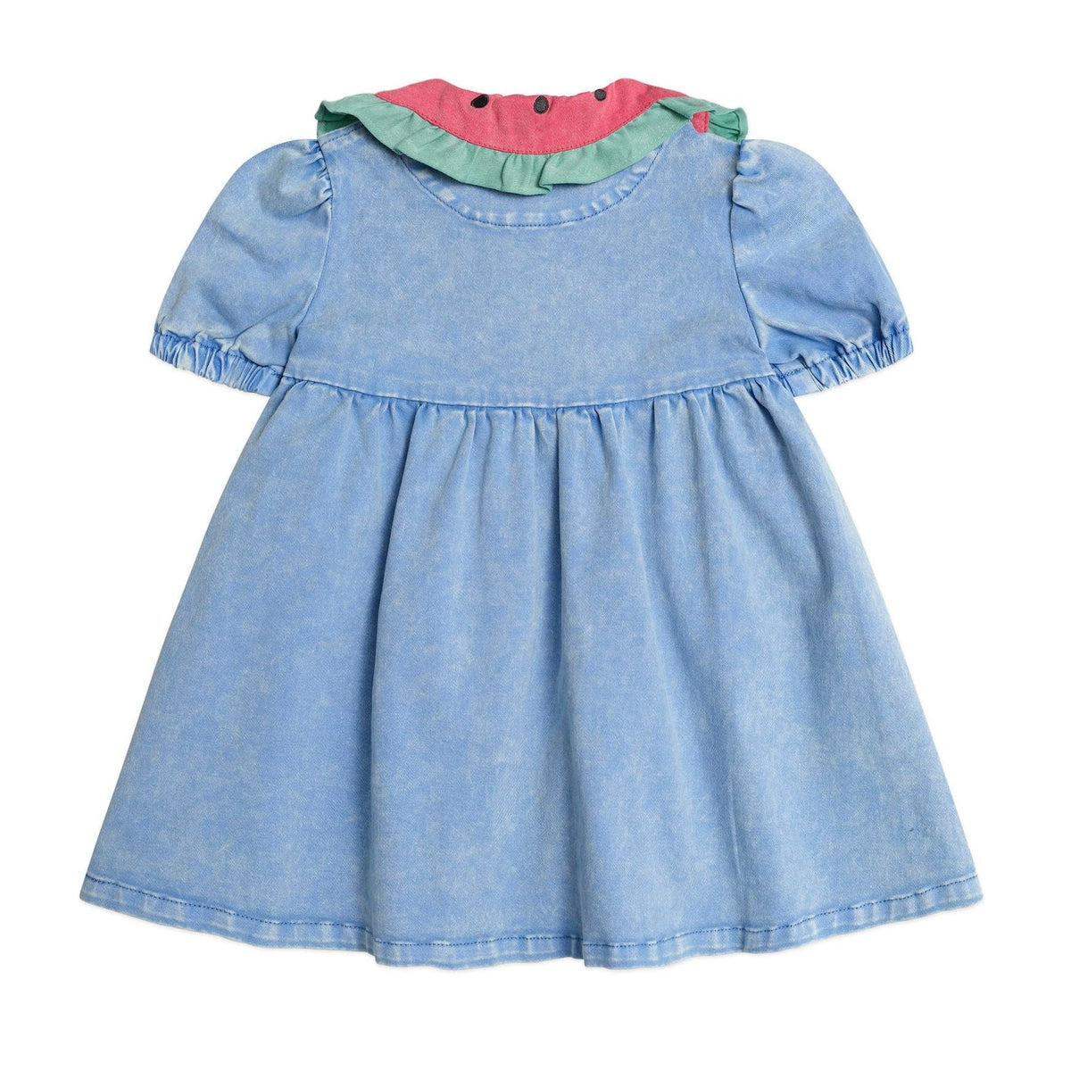 I Carried a Watermelon Denim Dress