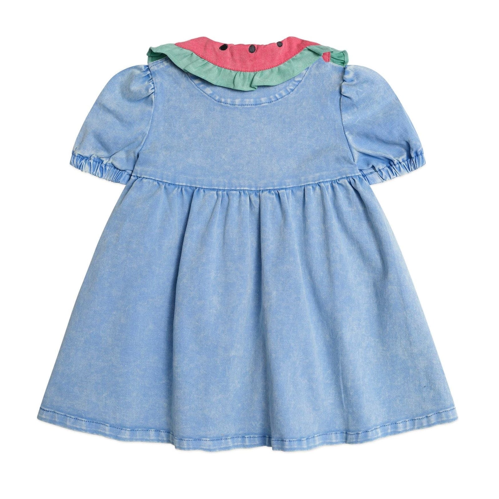 I Carried a Watermelon Denim Dress