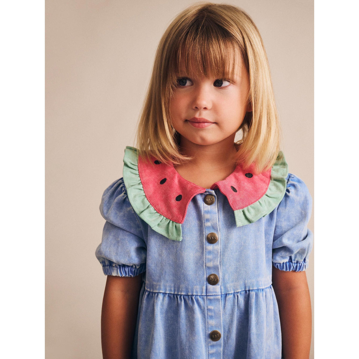 I Carried a Watermelon Denim Dress