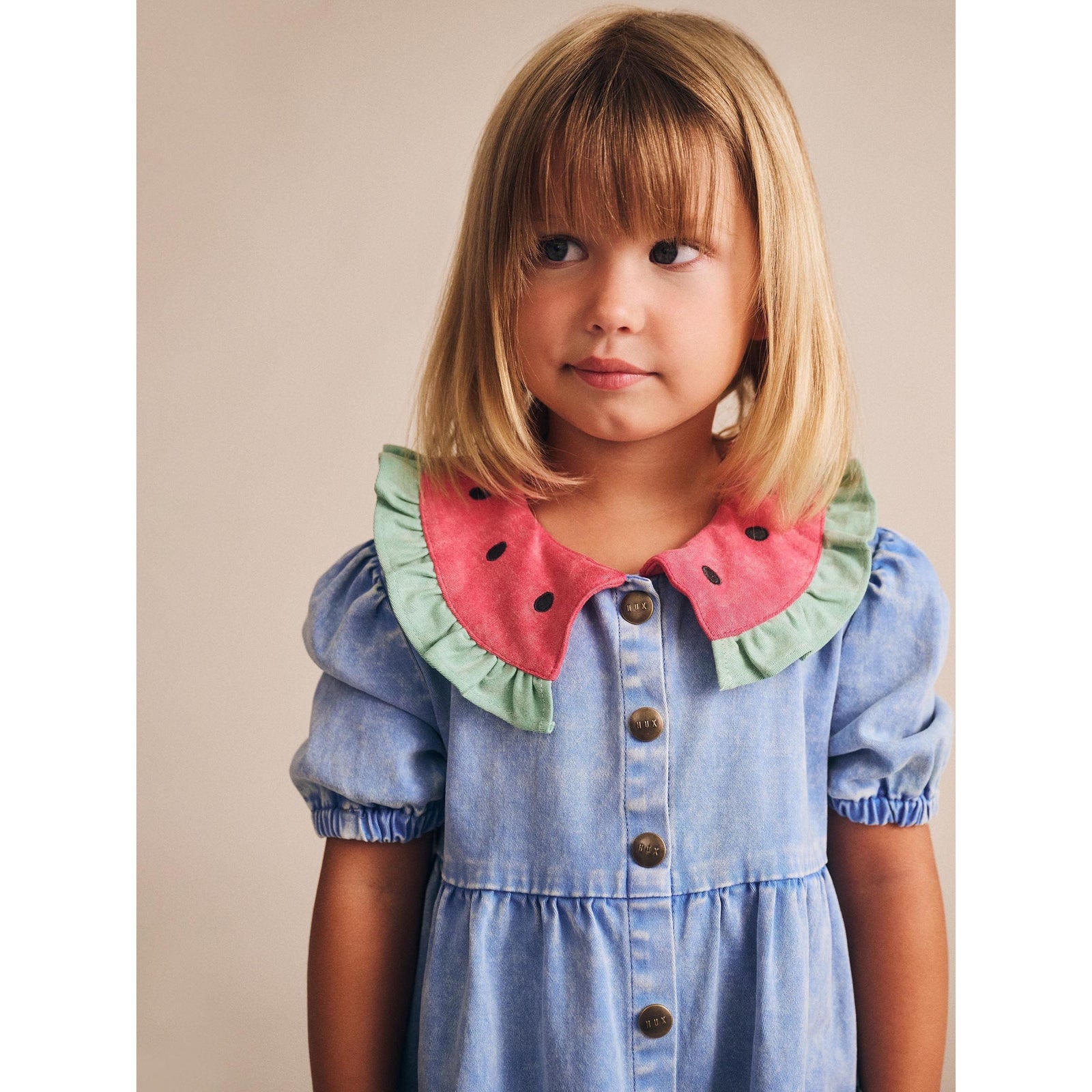 I Carried a Watermelon Denim Dress