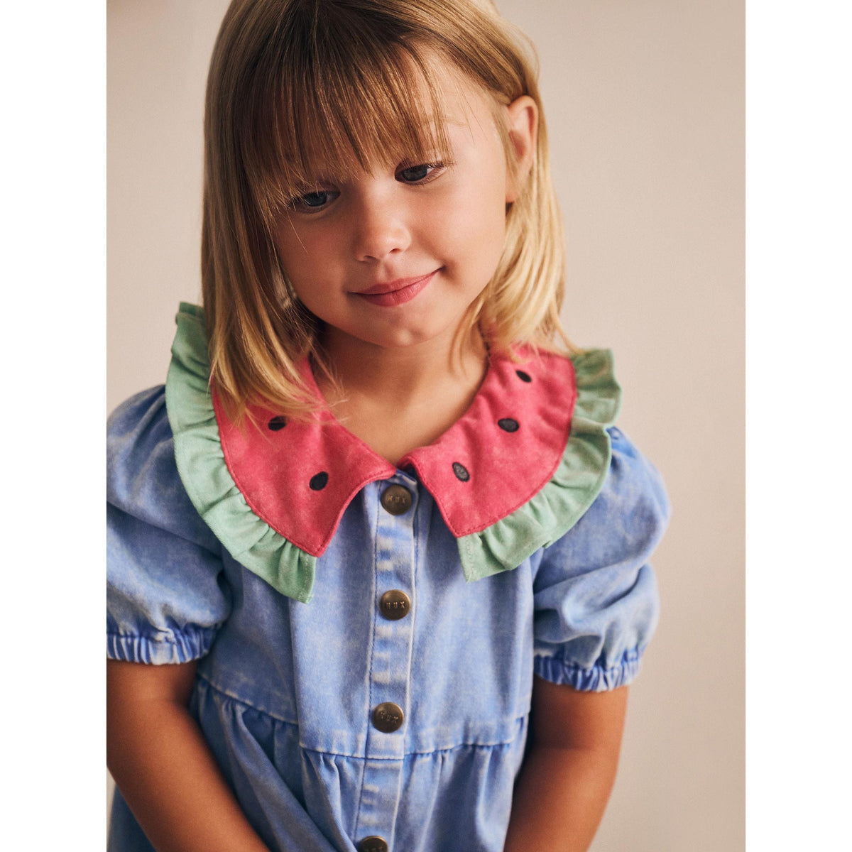 I Carried a Watermelon Denim Dress